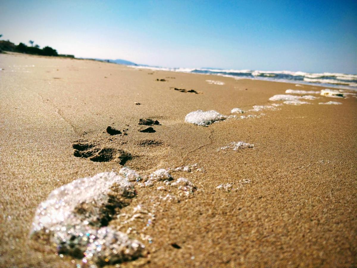 Hello Piles Beach Javier מראה חיצוני תמונה